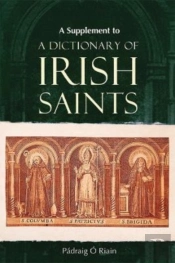 A Supplement To A Dictionary Of Irish Saints
