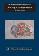 A Survey Of The Basic Tesujis