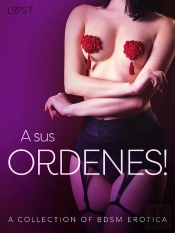 A Sus Ordenes! - A Collection Of Bdsm Erotica