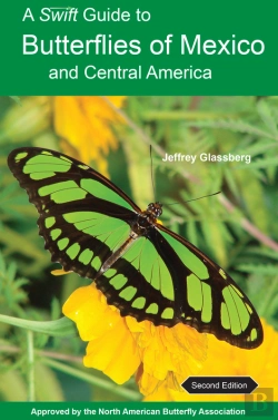 Bertrand.pt - A Swift Guide To Butterflies Of Mexico And Central America