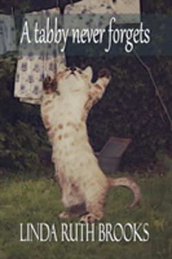 Bertrand.pt - A Tabby Never Forgets