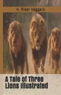 A Tale Of Three Lions Illustrated