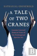 A Tale Of Two Cranes