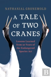 A Tale Of Two Cranes