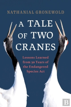 Bertrand.pt - A Tale Of Two Cranes