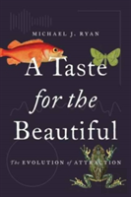 A Taste For The Beautiful