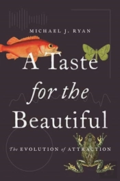 A Taste For The Beautiful