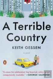 A Terrible Country
