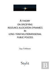 A Theory On Specifying Resource Allocation Dynamics In Long-Term Multidimensional Public Policies