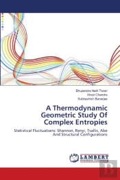 A Thermodynamic Geometric Study Of Complex Entropies