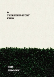 A Thirteen-Story View