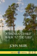 A Thousand-Mile Walk To The Gulf