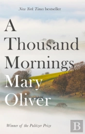 A Thousand Mornings