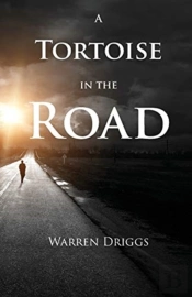 A Tortoise In The Road