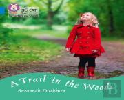 A Trail In The Woods