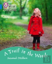 A Trail In The Woods