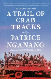 A Trail Of Crab Tracks
