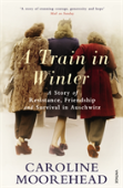 A Train In Winter