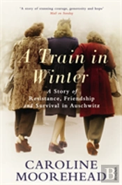 A Train In Winter