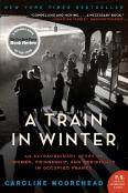 A Train In Winter