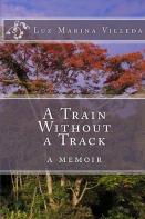 A Train Without A Track