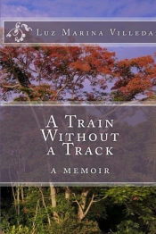 A Train Without A Track