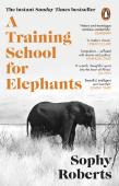 A Training School For Elephants