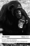 A Traves De Una Ventana Treinta Años Estudiando A Los Chimp