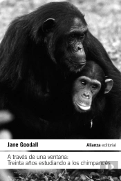 A Traves De Una Ventana Treinta Años Estudiando A Los Chimp