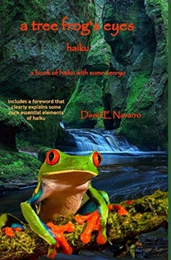 Bertrand.pt - A Tree Frog'S Eyes
