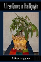 A Tree Grows In Thai Nguyen