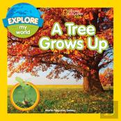 A Tree Grows Up