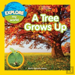 Bertrand.pt - A Tree Grows Up