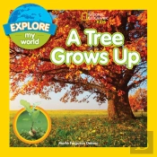 A Tree Grows Up