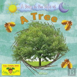 Bertrand.pt - A Tree
