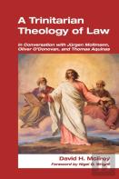 A Trinitarian Theology Of Law