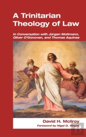 A Trinitarian Theology Of Law