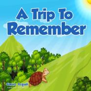 A Trip To Remember