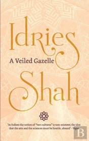 A Veiled Gazelle: Seeing How To See