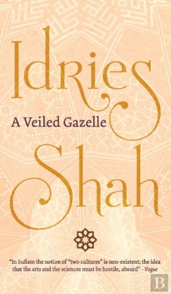 Bertrand.pt - A Veiled Gazelle: Seeing How To See