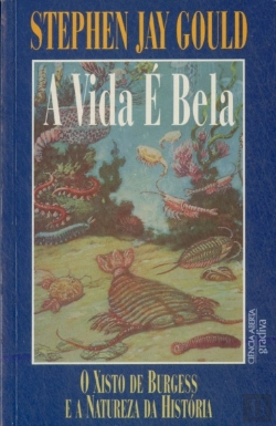 Bertrand.pt - A Vida É Bela