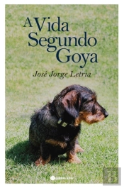 A Vida Segundo Goya 