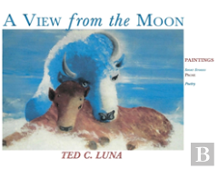 A View From The Moon