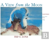 A View From The Moon