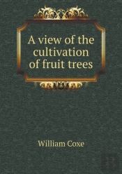 A View Of The Cultivation Of Fruit Trees