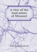 A View Of The Lead Mines Of Missouri