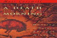 A View To A Death In The Morning