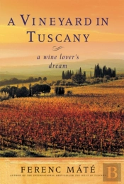 A Vineyard In Tuscany