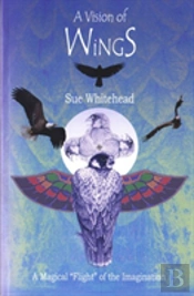 A Vision Of Wings