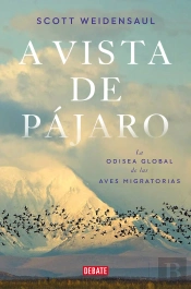A Vista De Pajaro